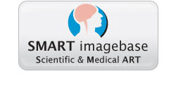 Scientific & Medical ART Imagebase