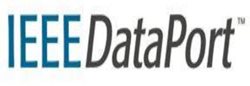 IEEE Dataport 
