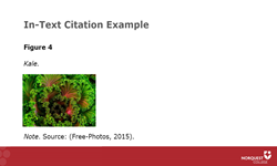 Citing Images in APA